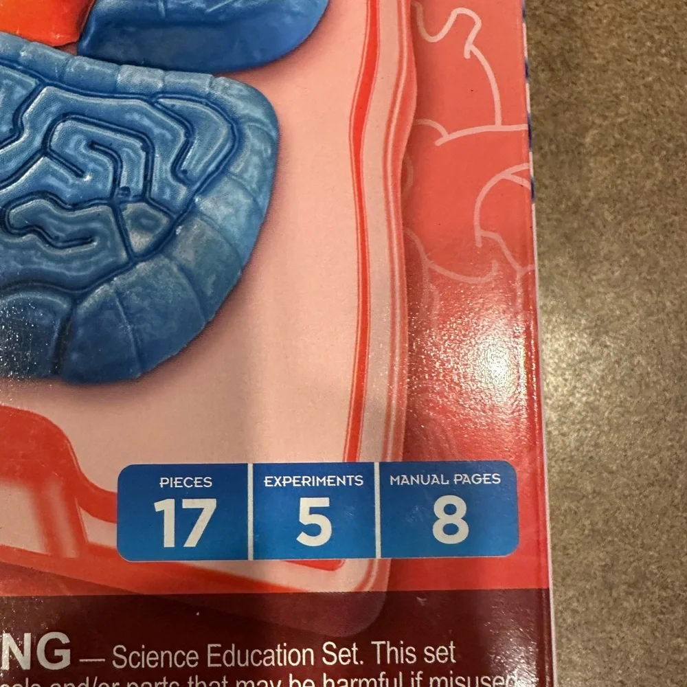 Squishy Human Body Anatomy Kit